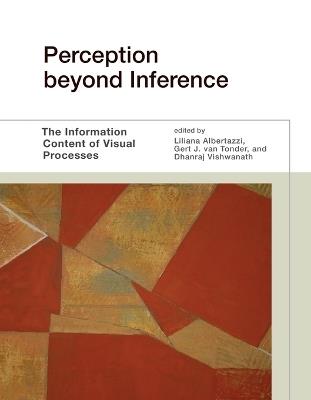 Perception beyond Inference: The Information Content of Visual Processes - cover