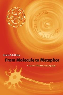From Molecule to Metaphor: A Neural Theory of Language - Jerome Feldman - cover