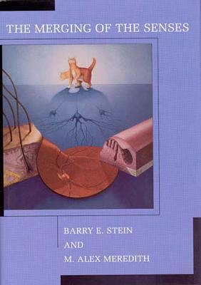 The Merging of the Senses - Barry E. Stein,M. Alex Meredith - cover