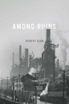 Among Ruins - Robert Gibb - cover
