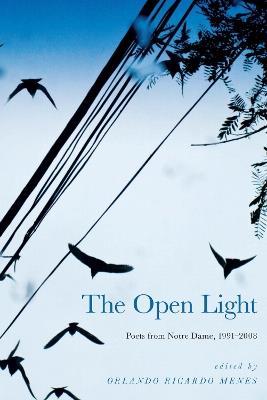 The Open Light: Poets from Notre Dame, 1991–2008 - cover