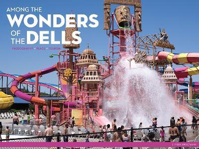 Among the Wonders of the Dells: Photography, Place, and Tourism - Tyler Friedman - cover