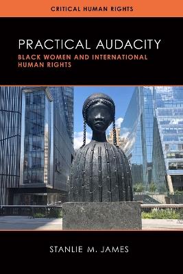 Practical Audacity: Black Women and International Human Rights - Stanlie M. James - cover