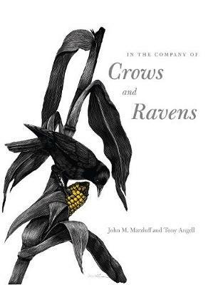 In the Company of Crows and Ravens - John M. Marzluff,Tony Angell - cover