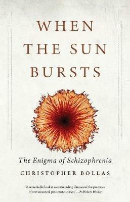 When the Sun Bursts: The Enigma of Schizophrenia - Christopher Bollas - cover