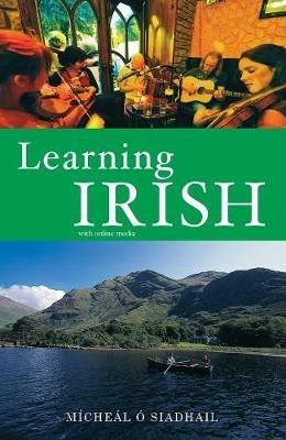 Learning Irish: Text with Online Media - Michael O'Siadhail - cover