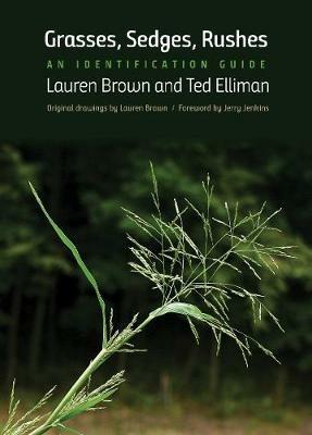 Grasses, Sedges, Rushes: An Identification Guide - Lauren Brown,Ted Elliman - cover