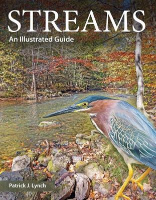Streams: An Illustrated Guide - Patrick J. Lynch - cover
