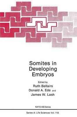 Somites in Developing Embryos - Ruth Bellairs - cover
