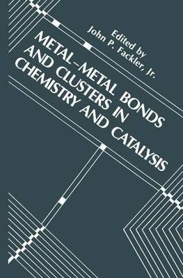 Metal-Metal Bonds and Clusters in Chemistry and Catalysis - cover