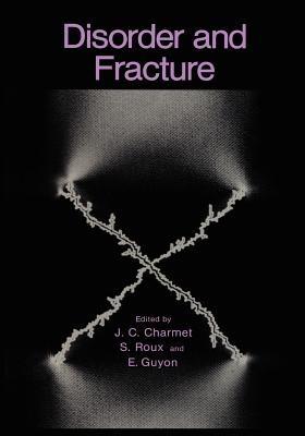 Disorder and Fracture - cover