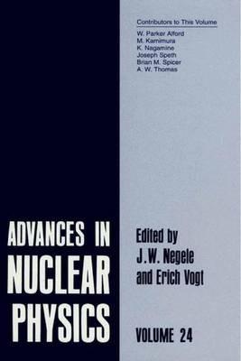 Advances in Nuclear Physics: Volume 24 - cover
