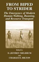 From Biped to Strider: The Emergence of Modern Human Walking, Running, and Resource Transport
