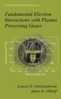 Fundamental Electron Interactions with Plasma Processing Gases - Loucas G. Christophorou,James K. Olthoff - cover
