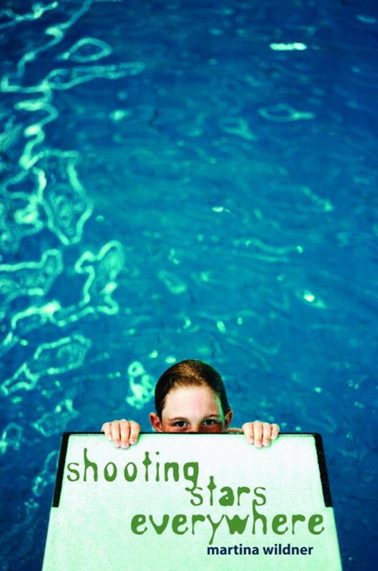 Shooting Stars Everywhere - Martina Wildner - ebook