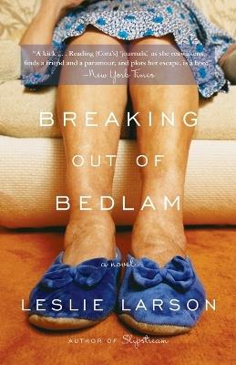 Breaking Out of Bedlam: A Novel - Leslie Larson - cover