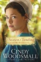 A Season for Tending: Book One in the Amish Vines and Orchards Series - Cindy Woodsmall - cover