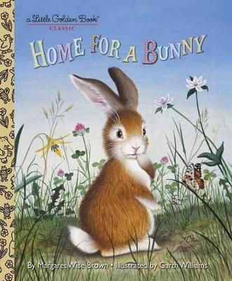 Home for a Bunny: A Bunny Book for Kids - Margaret Wise Brown - cover