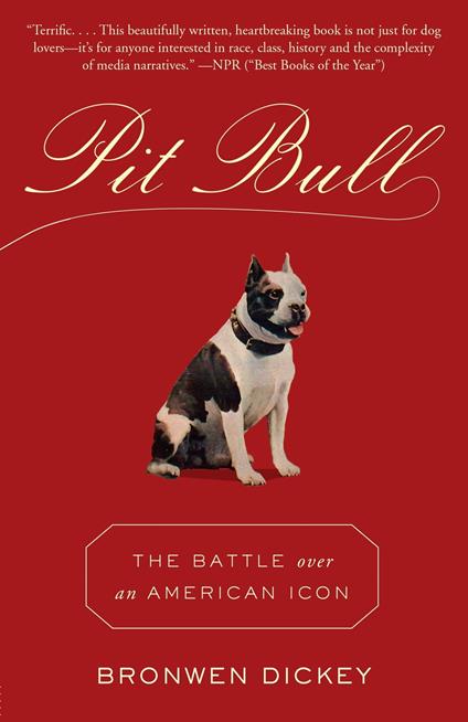 Pit Bull