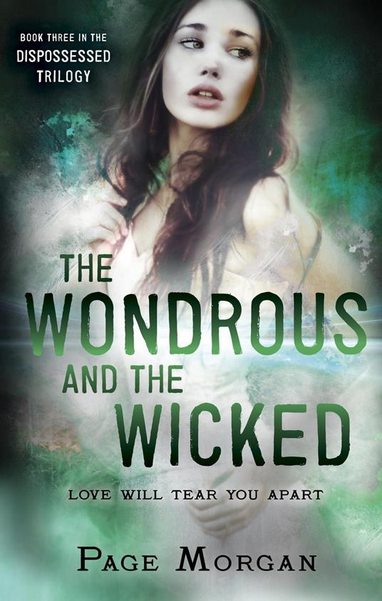 The Wondrous and the Wicked - Morgan Page - ebook