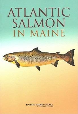 Atlantic Salmon in Maine - National Research Council,Division on Earth and Life Studies,Ocean Studies Board - cover