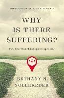 Why Is There Suffering?: Pick Your Own Theological Expedition - Bethany N. Sollereder - cover