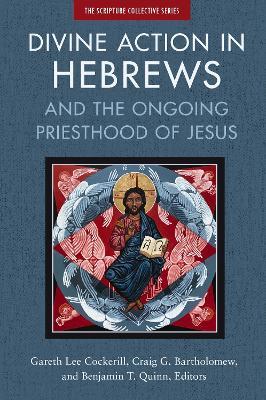 Divine Action in Hebrews: And the Ongoing Priesthood of Jesus - cover