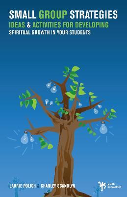 Small Group Strategies: Ideas and Activities for Developing Spiritual Growth in Your Students - Laurie Polich,Charley Scandlyn - cover