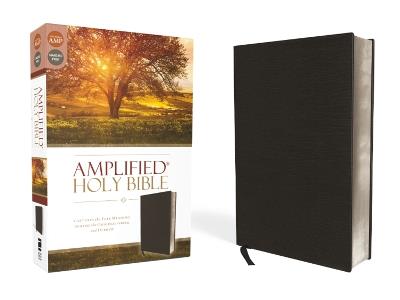 Amplified Holy Bible, Bonded Leather, Black: Captures the Full Meaning Behind the Original Greek and Hebrew - cover