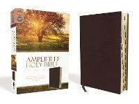 Amplified Holy Bible, Bonded Leather, Burgundy, Thumb Indexed: Captures the Full Meaning Behind the Original Greek and Hebrew - cover