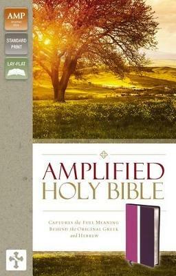 Amplified Holy Bible, Leathersoft, Pink/Purple: Captures the Full Meaning Behind the Original Greek and Hebrew - cover