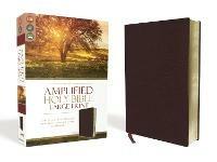 Amplified Holy Bible, Large Print, Bonded Leather, Burgundy: Captures the Full Meaning Behind the Original Greek and Hebrew - cover