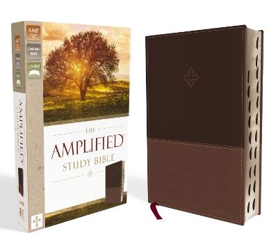 The Amplified Study Bible, Leathersoft, Brown, Thumb Indexed - Zondervan - cover