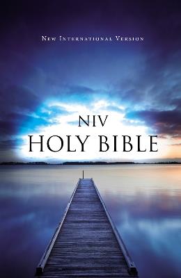 NIV, Value Outreach Bible, Paperback - cover