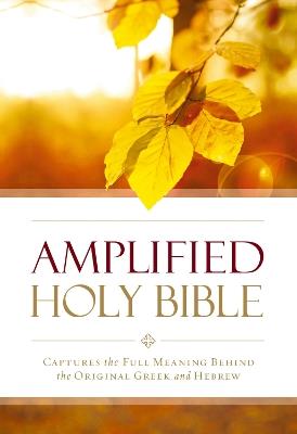 Amplified Outreach Bible, Paperback: Capture the Full Meaning Behind the Original Greek and Hebrew - Zondervan - cover