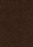 ESV, Thompson Chain-Reference Bible, Leathersoft, Brown, Red Letter, Thumb Indexed - cover