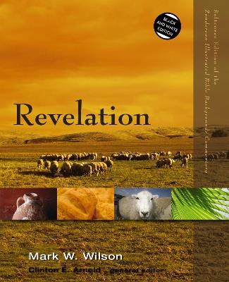 Revelation - Mark W. Wilson - cover