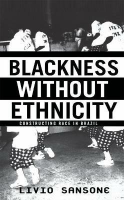 Blackness Without Ethnicity: Constructing Race in Brazil - L. Sansone - cover