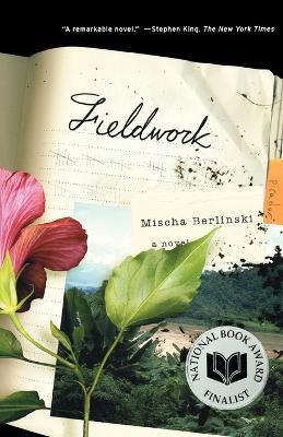 Fieldwork - Mischa Berlinski - cover