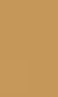 The Meaning of Heidegger: A Critical Study of an Existentialist Phenomenology - Thomas Langan - cover