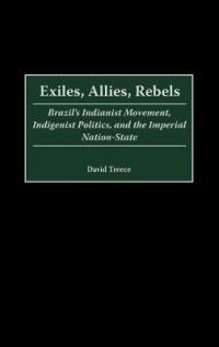 Exiles, Allies, Rebels: Brazil's Indianist Movement, Indigenist Politics, and the Imperial Nation-State - David Treece - cover