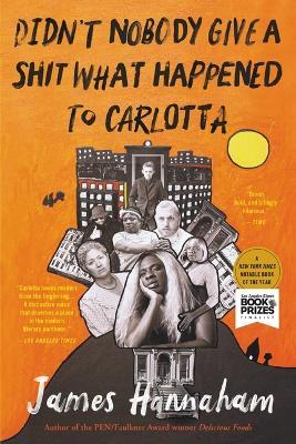 Didn't Nobody Give a Shit What Happened to Carlotta - James Hannaham - cover