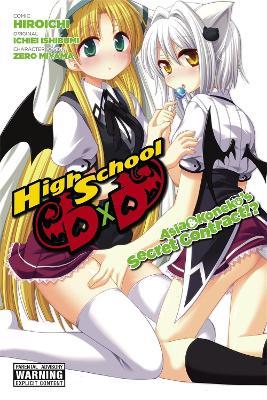 High School DXD: Asia & Koneko's Secret Contract!? - Hiroichi - cover