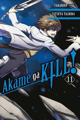 Akame ga KILL!, Vol. 11 - Christine Dashiell,Hachette US,Takahiro Takahiro - cover