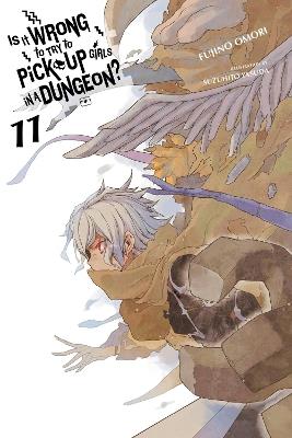 Is It Wrong to Try to Pick Up Girls in a Dungeon?, Vol. 11 (light novel) - Fujino Omori,Suzuhito Yasuda,Winifred Bird - cover