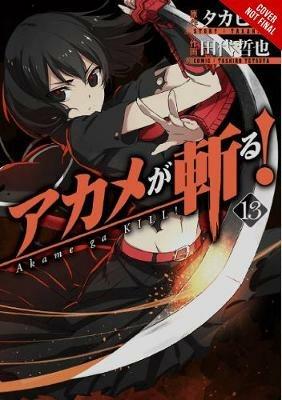 Akame ga Kill!, Vol. 13 - Takahiro - cover