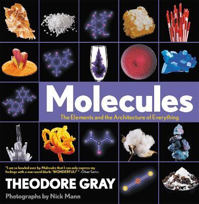 Molecules: The Elements and the Architecture of Everything - Nick Mann,Theodore Gray - cover