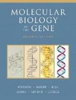 Molecular Biology of the Gene