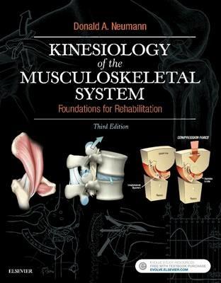 Kinesiology of the Musculoskeletal System: Foundations for Rehabilitation - Donald A. Neumann - cover