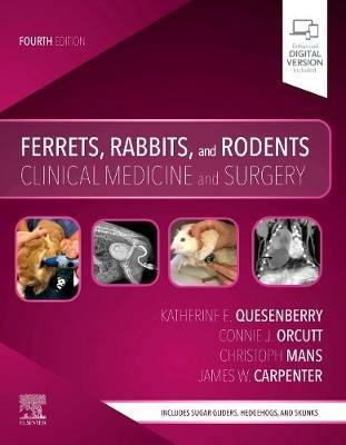 Ferrets, Rabbits, and Rodents: Clinical Medicine and Surgery - Katherine Quesenberry,Christoph Mans,Connie Orcutt - cover